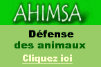 Ahimsa protection libération des animaux