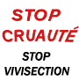 stop cruaute vivisection